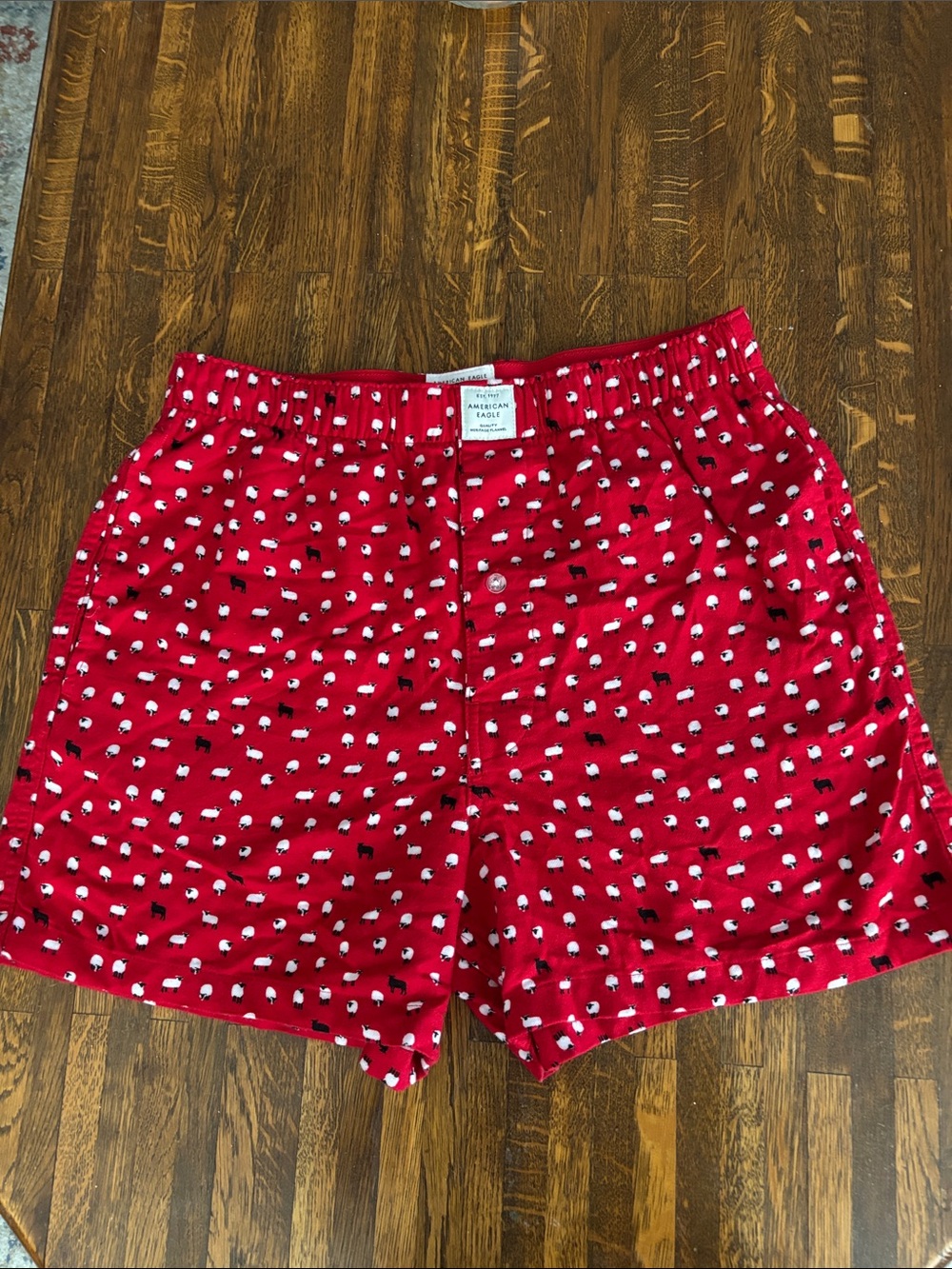 American Eagle Outfitters pajamas bottoms